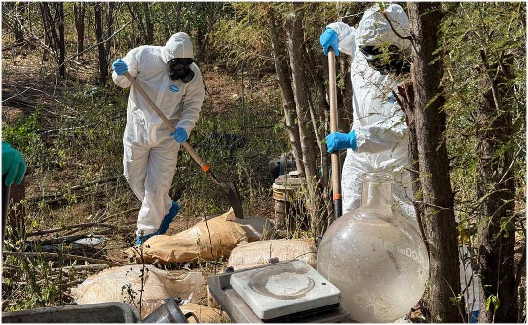 En dos meses y medio, la Secretaría de Marina (Semar) incautó más de 45 toneladas de diferentes drogas, causando un daño económico a los grupos delincuenciales. Foto: Especial