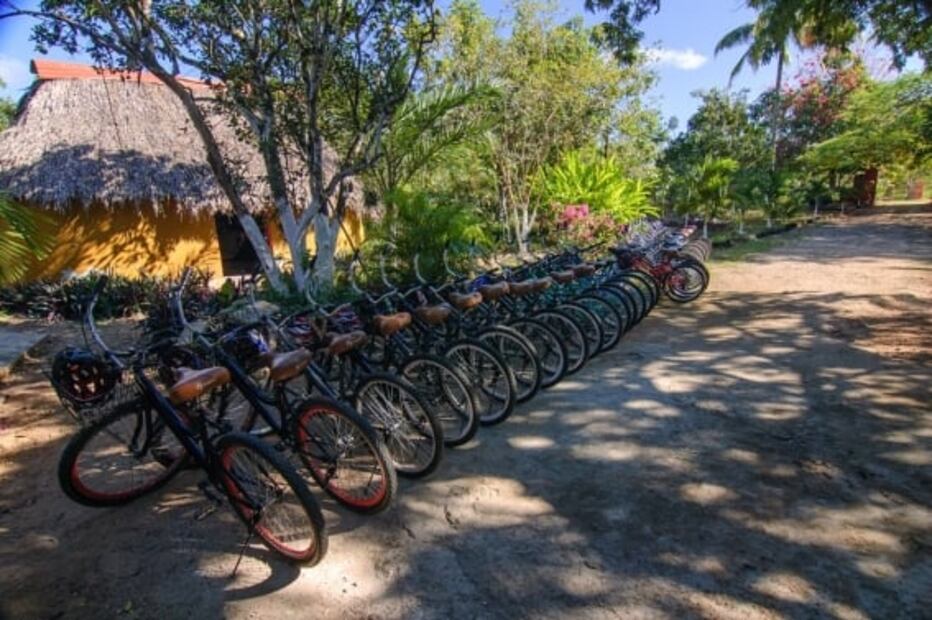 Cenotes en Yucatán: sigue esta ruta casi secreta