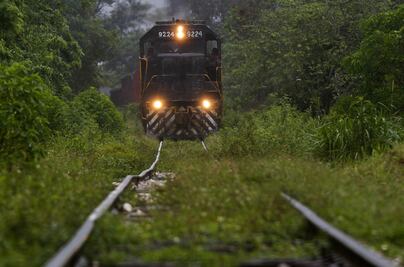 "El problema no es el trazo del Tren Maya, es el acompañamiento arqueológico ": INAH