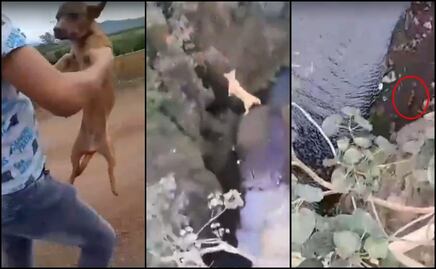 VIDEO: Lanzan y disparan desde un puente a perrito en Michoacán, imágenes indignan en redes
