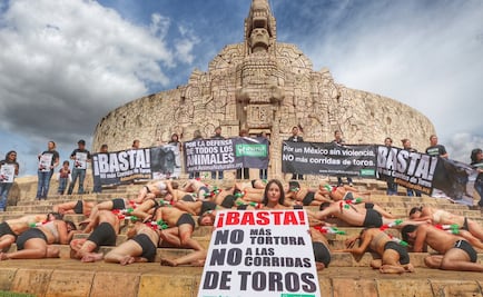Protestan en contra del maltrato animal en Yucatán