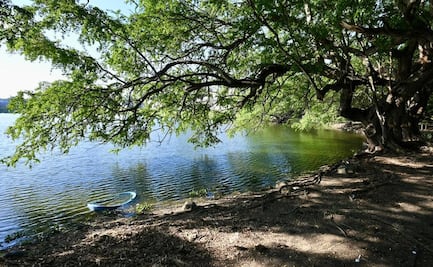 Veracruz va por protección de sistema lagunar; inicia programa permanente de restauración