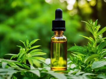 Estos son los beneficios del aceite de cannabis para personas que padecen hipertensión, según la ciencia