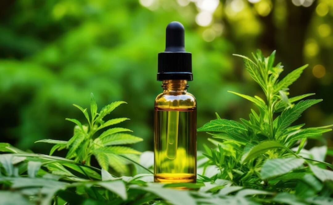 El cannabis medicinal ha demostrado beneficios en el tratamiento de múltiples patologías. Fuente: Freepik