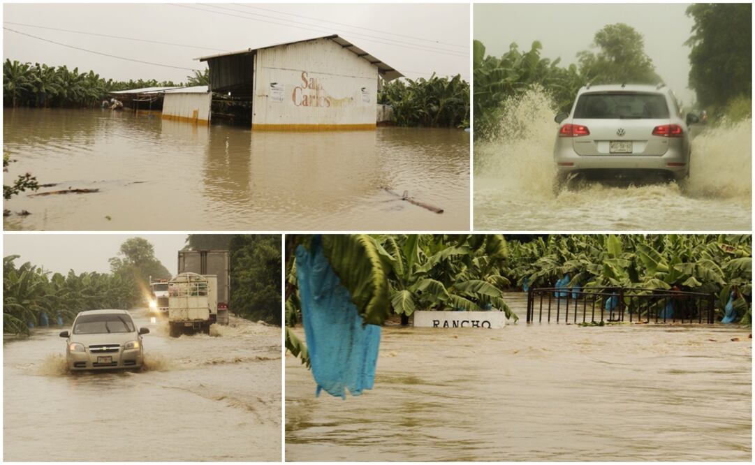 Foto: Luma López / EL UNIVERSAL