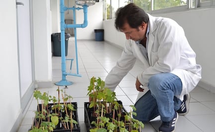 Investigadores poblanos logran eliminar colorantes en aguas de industria textil