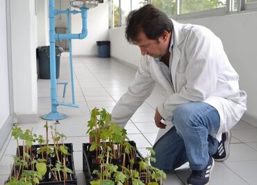 Investigadores poblanos logran eliminar colorantes en aguas de industria textil