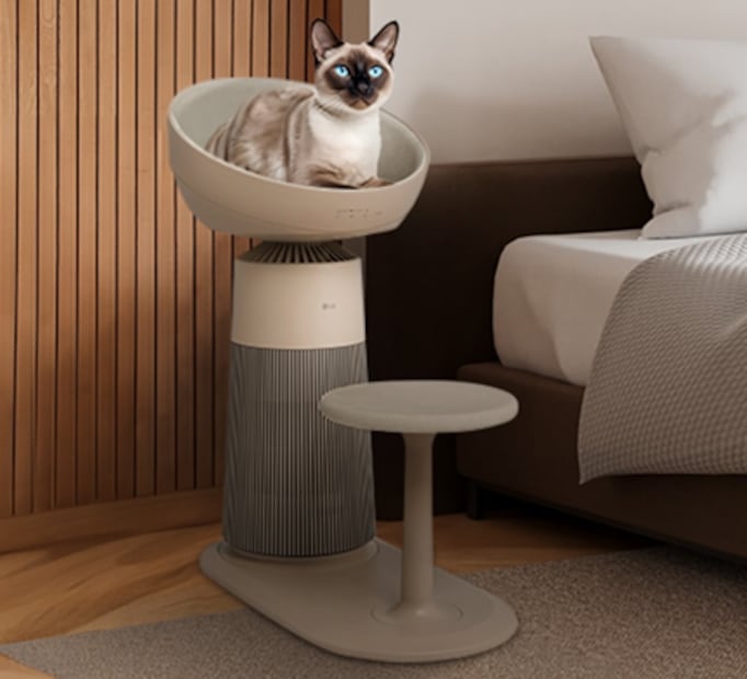 LG AeroCat reduce alérgenos felinos en el aire y crea un espacio cómodo para gatos. Foto: LG