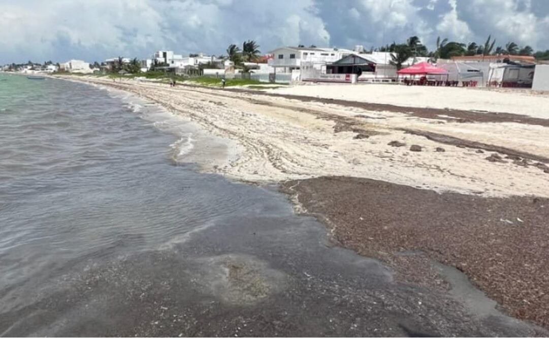 Playas de Yucatán con Sargazo. Foto: Especial