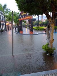 Despliegan brigadas sanitarias por inundaciones en Sinaloa