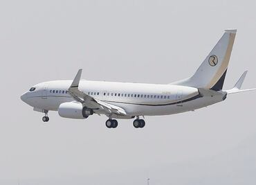 Detienen a hombre que quería saltar de avión en pleno vuelo