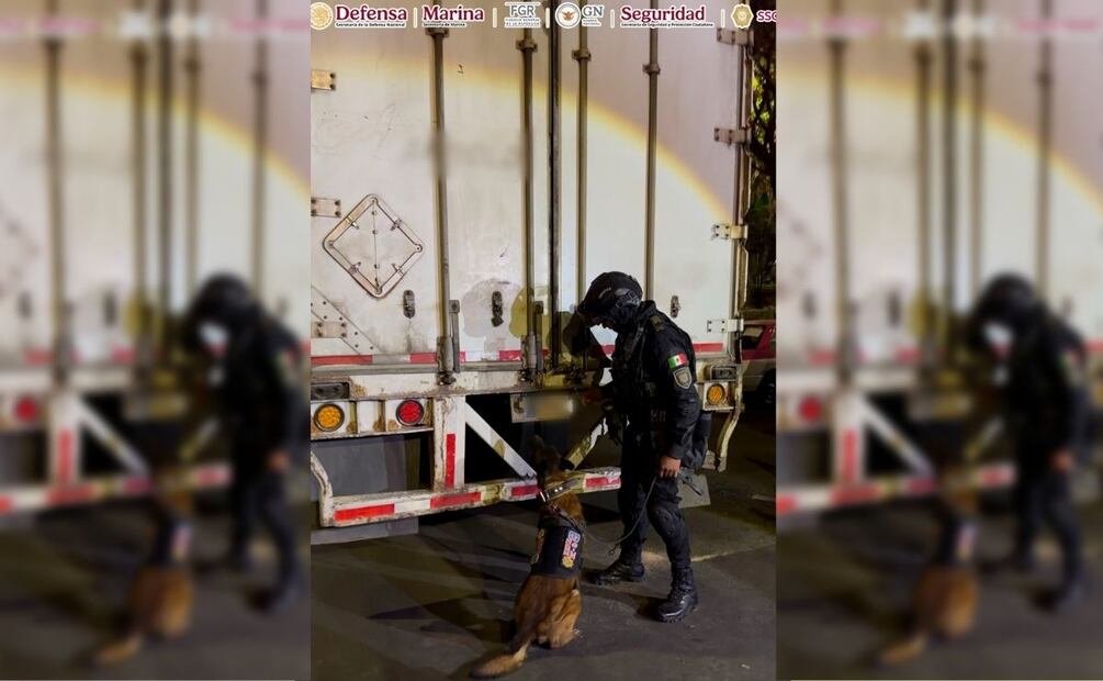 Los Malcriados 3AD (Tercera Acción Destructiva) son una célula dedicada al narcomenudeo, la extorsión, el cobro de piso y homicidio. | Foto: Especial.