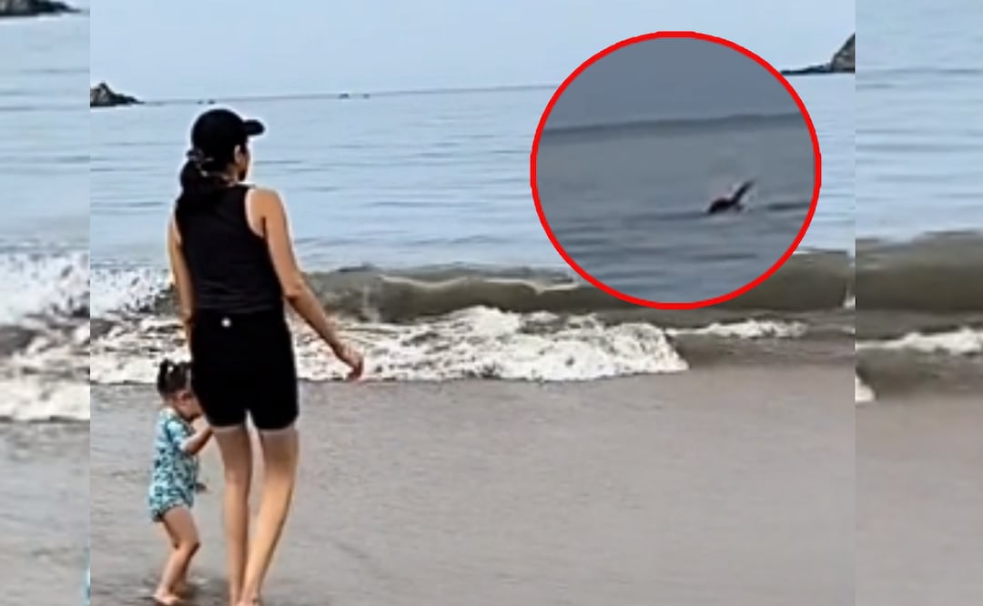 Momento exacto en que una mujer observa como un hombre es atacado por un animal en Ixtapa, Zihuatanejo. Foto: Captura de pantalla