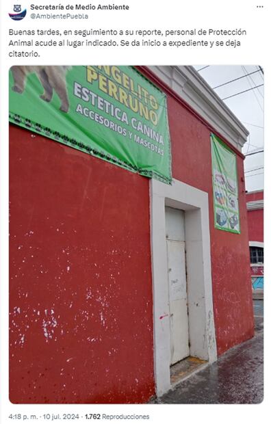 Foto: Captura de pantalla