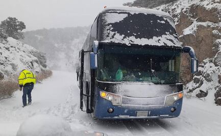 Tormenta invernal deja nevadas en varios municipios de Chihuahua VIDEO