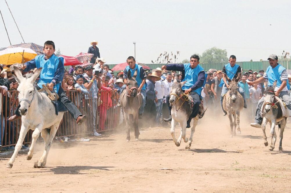 Como parte del festival se organizaron carreras de burros, concurso de disfraces y polo sobre burro, entre otras actividades para honrar a los animales de carga en su día (EMILIO FERNÁNDEZ. EL UNIVERSAL)