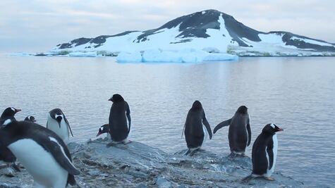 Robot submarino graba los cimientos de un glaciar que podría desaparecer