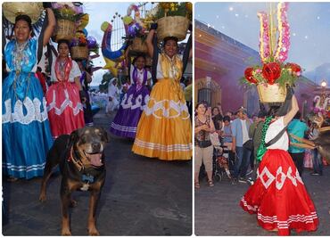 ¡Se acabó la fiesta para Mazapán! Le prohíben participar en la Guelaguetza