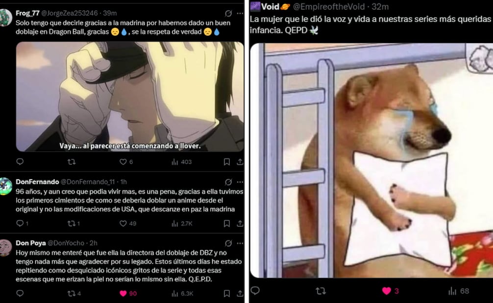 Foto: Captura de pantalla en X