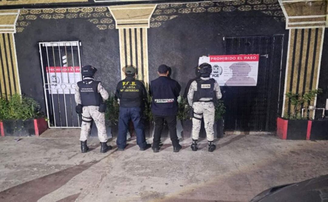 Rescatan en Quintana Roo a 33 mujeres víctimas de trata y prostitución. Foto: Especial