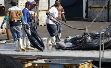 Gana México a EU en disputa por etiquetado del atún