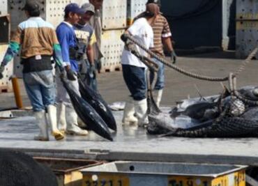 Gana México a EU en disputa por etiquetado del atún