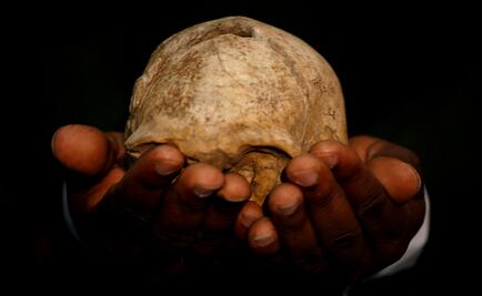 Deformación craneal desde la infancia se practicaba hace mil 500 años