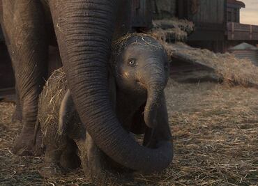 Escenas en las que Disney nos hizo llorar