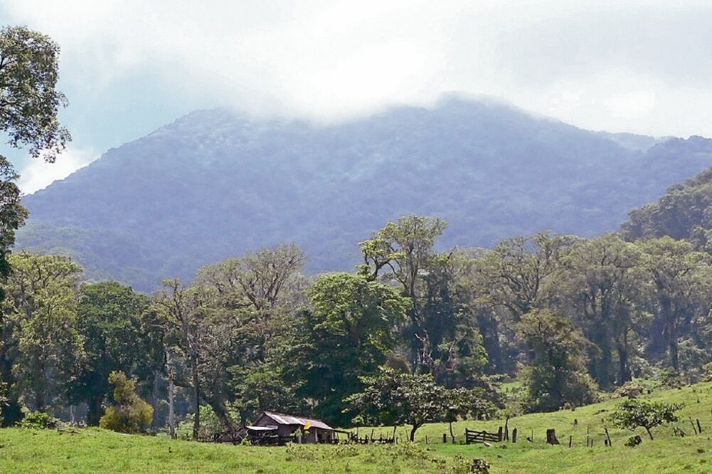 Pastizales de la región de Los Tuxtlas, Veracruz, con el volcán San Martín al fondo (ESPECIAL)