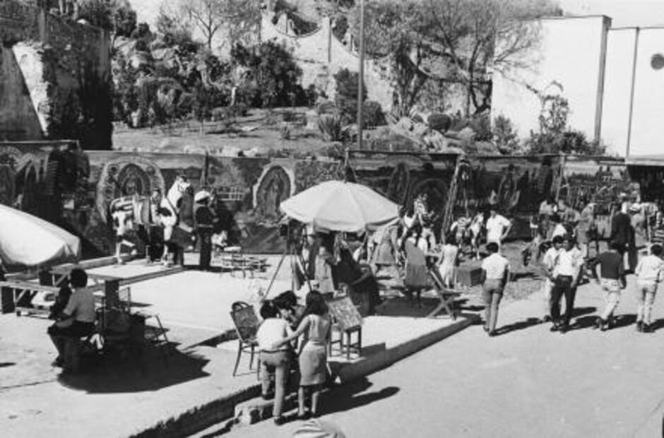 Llevan 50 años de fotografiar a los mismos caballos