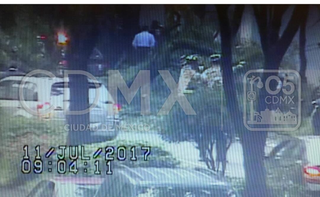 Árbol cae en Mariano Escobedo, frente a hotel Camino Real 