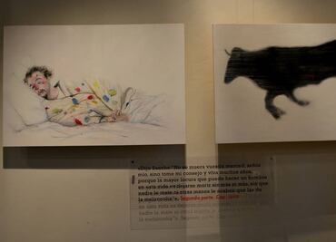 Ima Montoya pinta un Quijote del siglo XXI