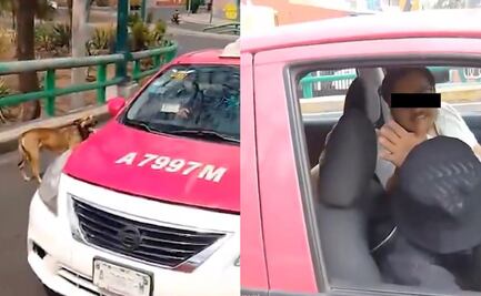 VIDEO: Mujer confronta a taxista que intentaba abandonar a un perrito; "lo van a atropellar"