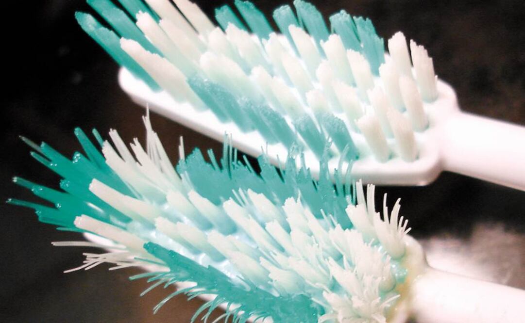 Cepillos se exponen a adquirir microorganismos en el baño. Foto: Archivo