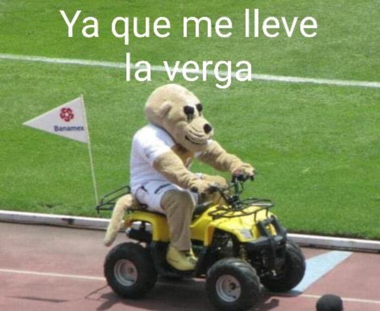 FOTO: ESPECIAL - MEMES PUMAS