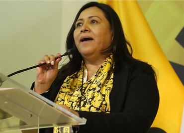 “Simulación” comparar la expropiación petrolera con la regulación del litio: PRD