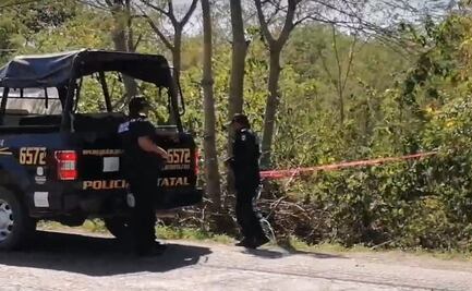 ¡Iba al baño! Empleado de Telmex halla restos humanos entre la maleza del anillo periférico de Mérida