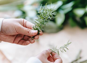 La hierba que mejora la memoria y previene el Alzheimer según un psiquiatra de Harvard