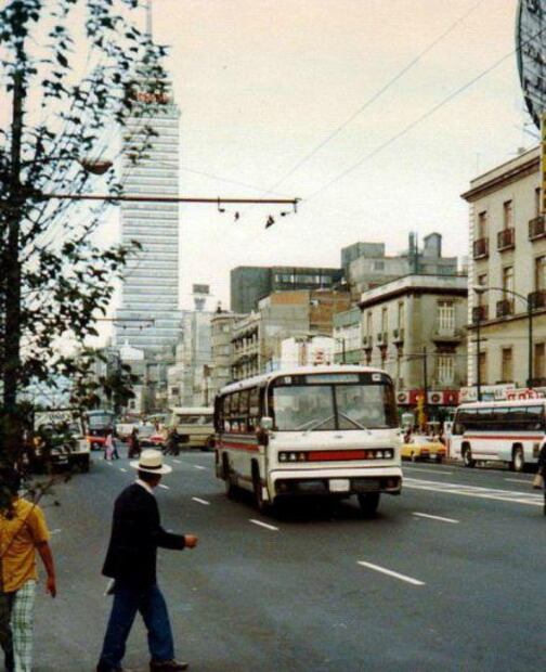 Delfines de un zoológico de asfalto 