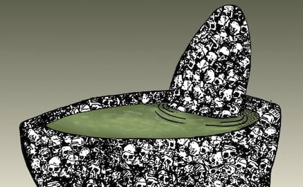 Zona aguacatera