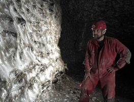 Hallan telaraña más grande del mundo: red fue hecha por más de 100 mil arañas