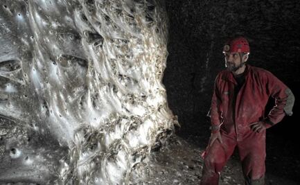 Hallan telaraña más grande del mundo: red fue hecha por más de 100 mil arañas