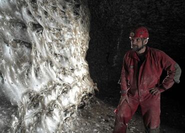 Hallan telaraña más grande del mundo: red fue hecha por más de 100 mil arañas