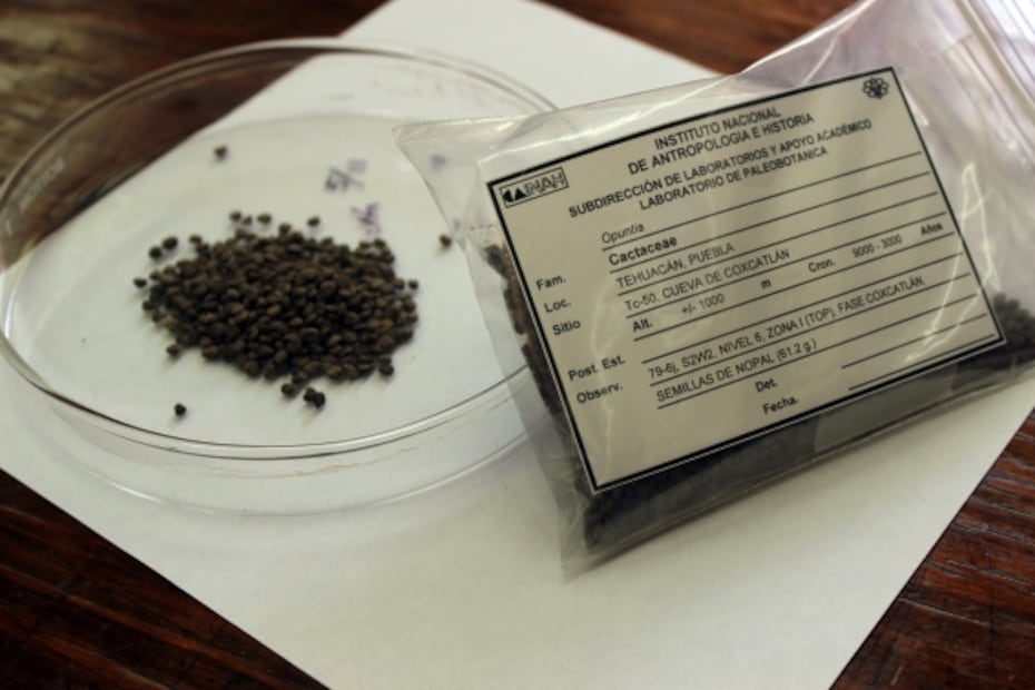 La gastronomía representada en el Escudo Nacional