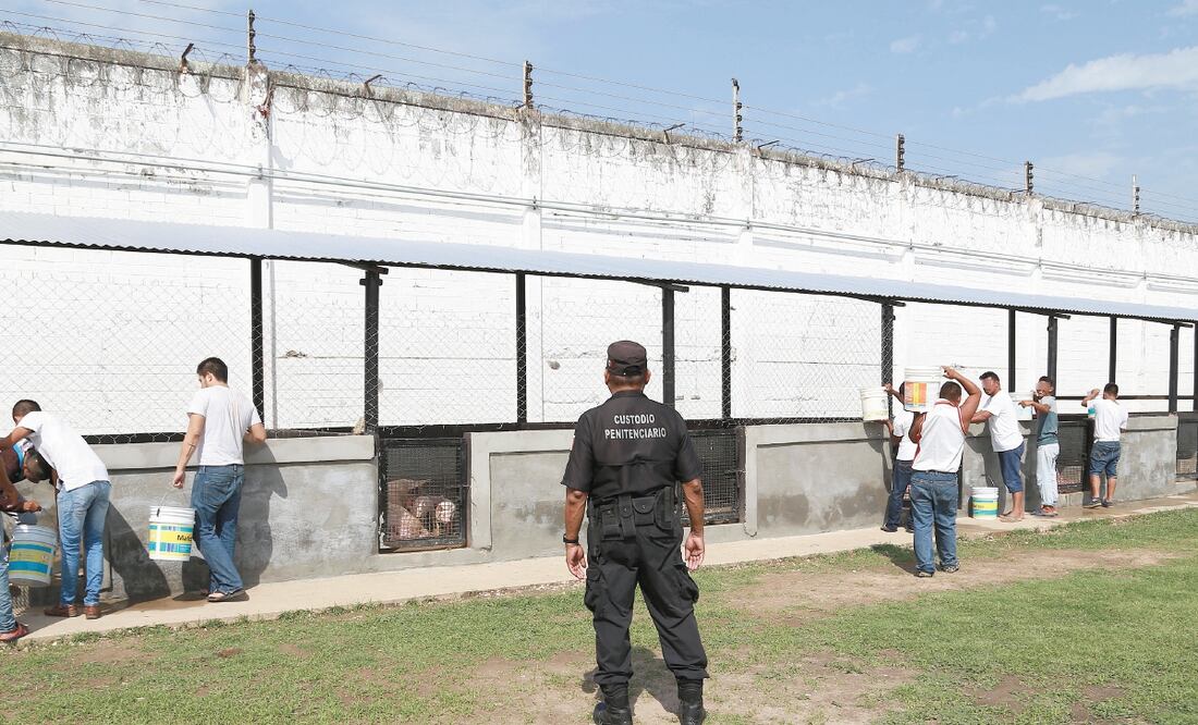 Algunos reclusos con discapacidad mental desconocen por qué fueron privados de la libertad, refiere Documenta. ARCHIVO EL UNIVERSAL