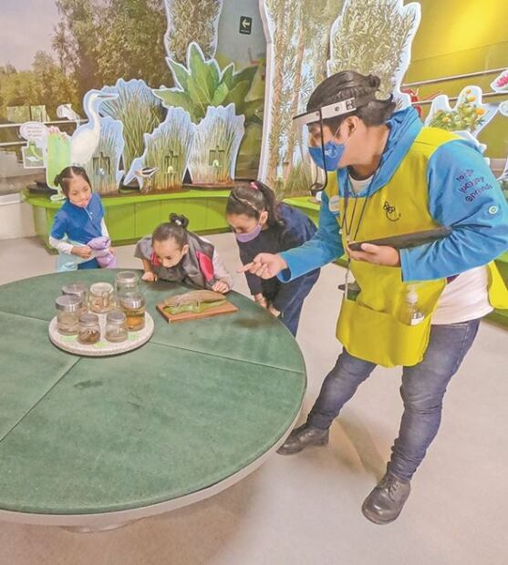 “No es una provocación, Papalote está en peligro de extinción”