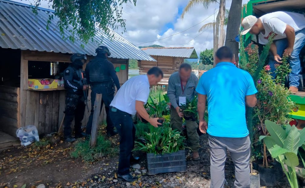 Profepa asegura 150 orquídeas y otras 21 plantas en tianguis de Puebla (05/08/2026). Foto: Especial