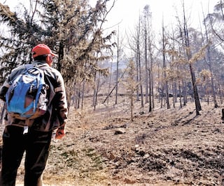 Controlan incendio en la sierra de Guadalupe en CDMX