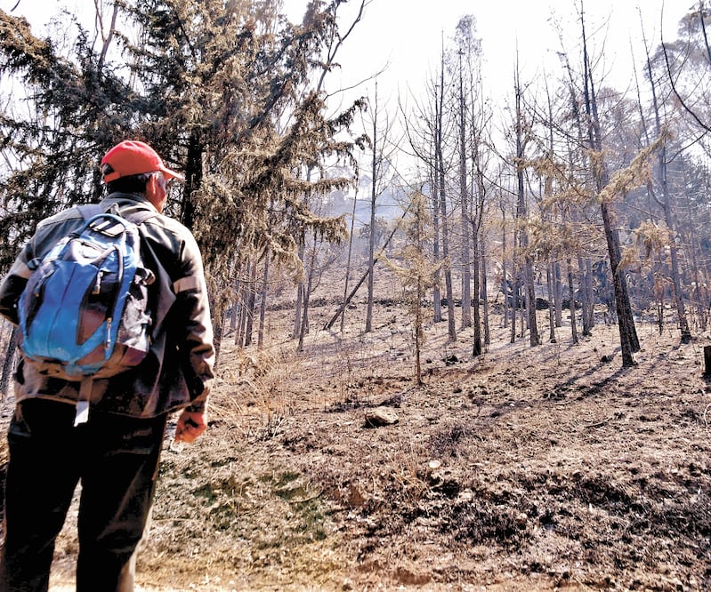 Autoridades aún no reportan el número de hectáreas afectadas por el siniestro que inició en la zona de la CDMX. Foto: HUGO GARCÍA. EL UNIVERSAL