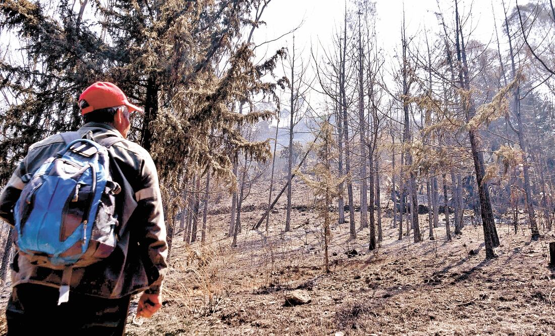 Autoridades aún no reportan el número de hectáreas afectadas por el siniestro que inició en la zona de la CDMX. Foto: HUGO GARCÍA. EL UNIVERSAL